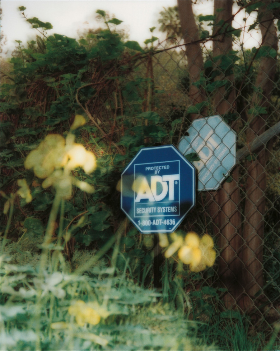 Philippe Durand - Still Life Armed Response