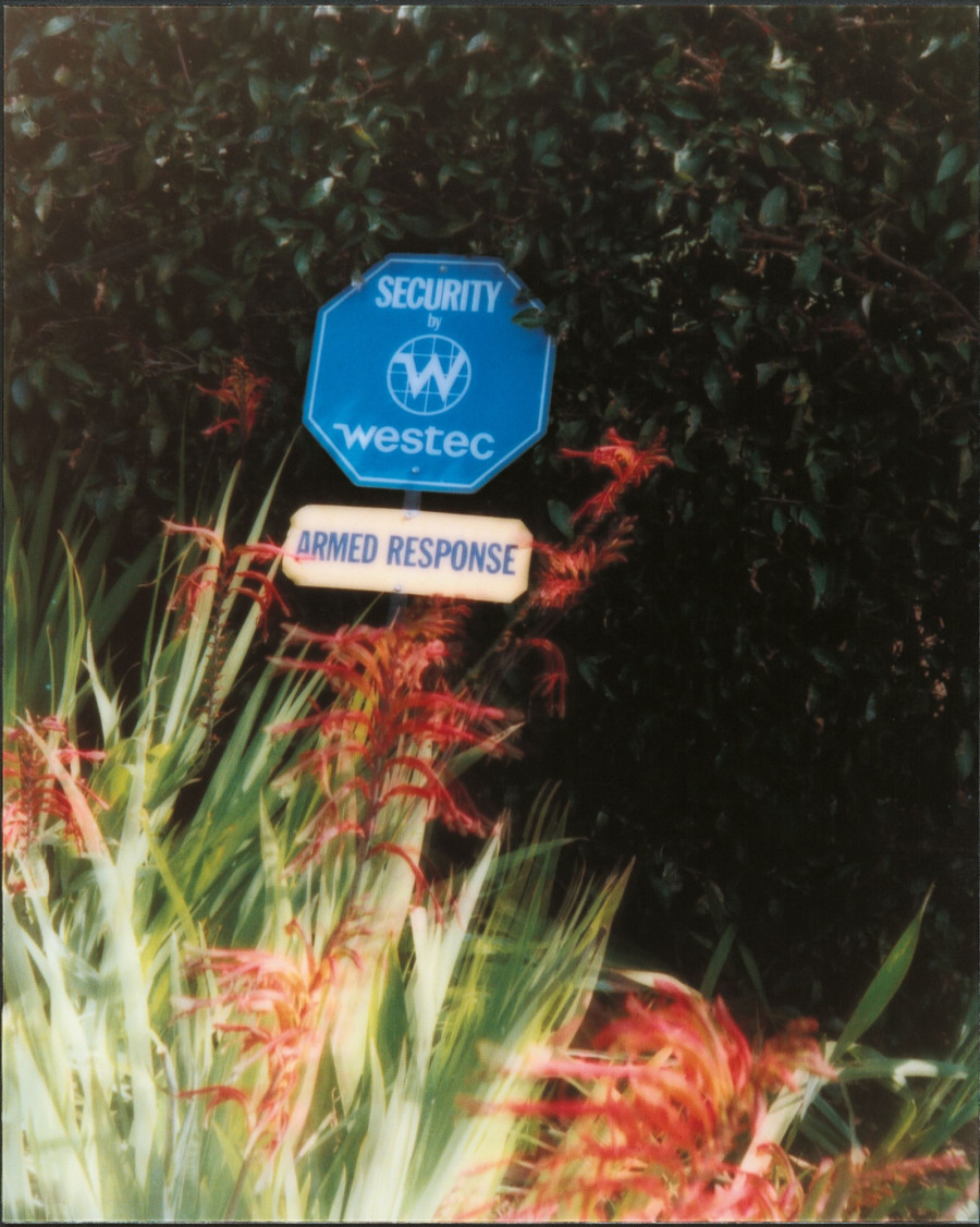 Philippe Durand - Still Life Armed Response