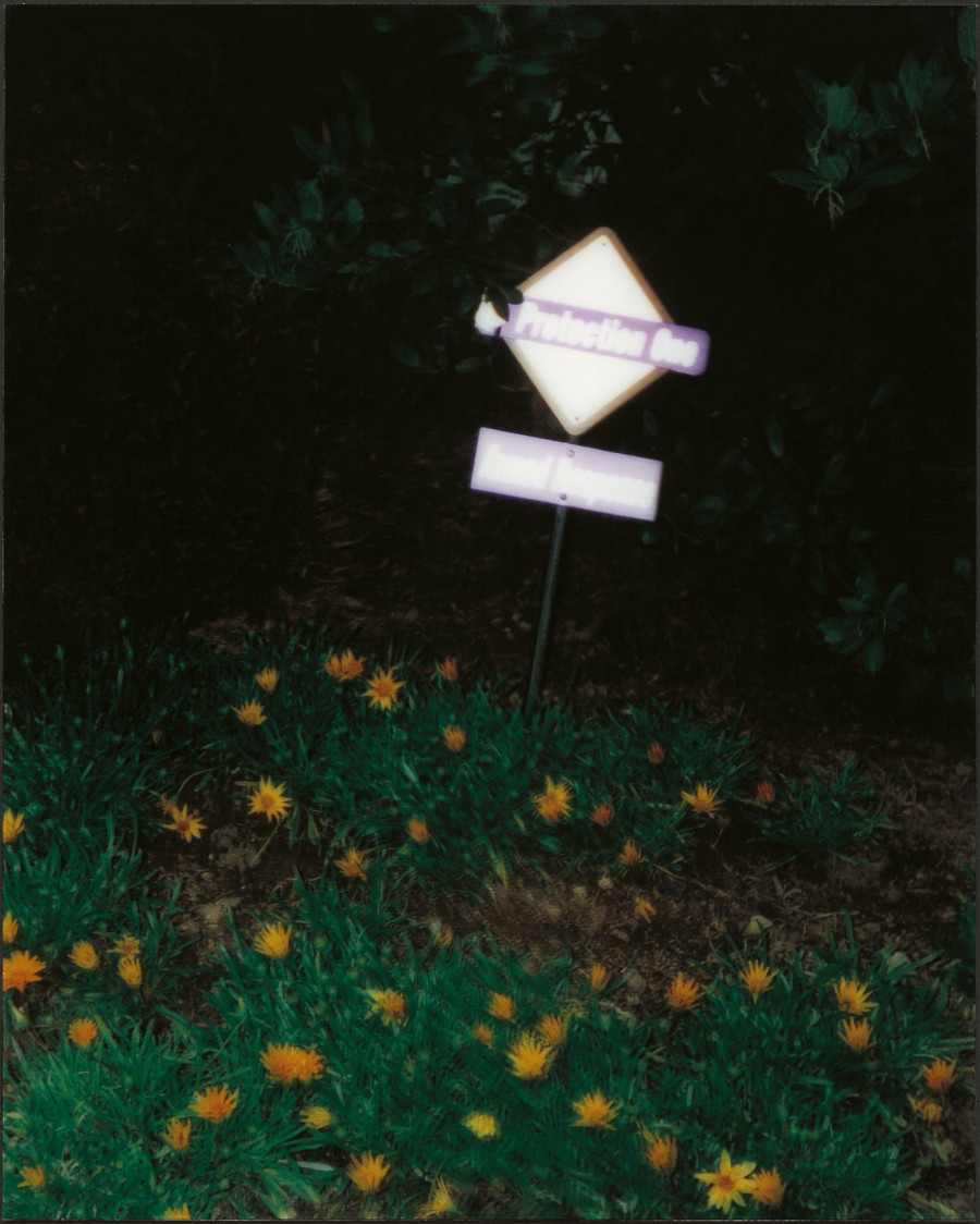 Philippe Durand - Still Life Armed Response