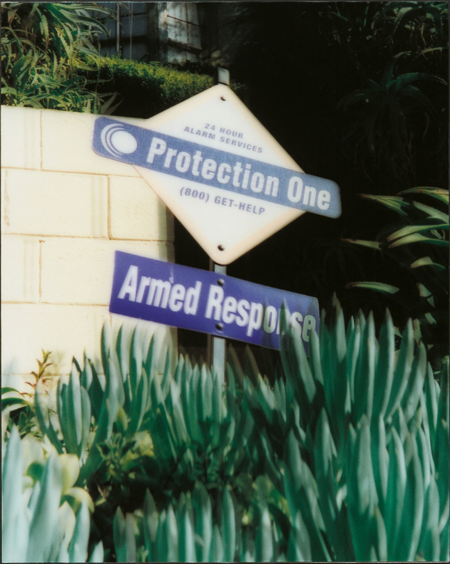 Philippe Durand - Still Life Armed Response