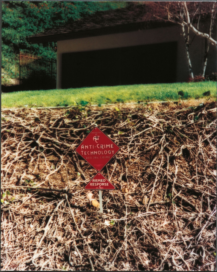 Philippe Durand - Still Life Armed Response