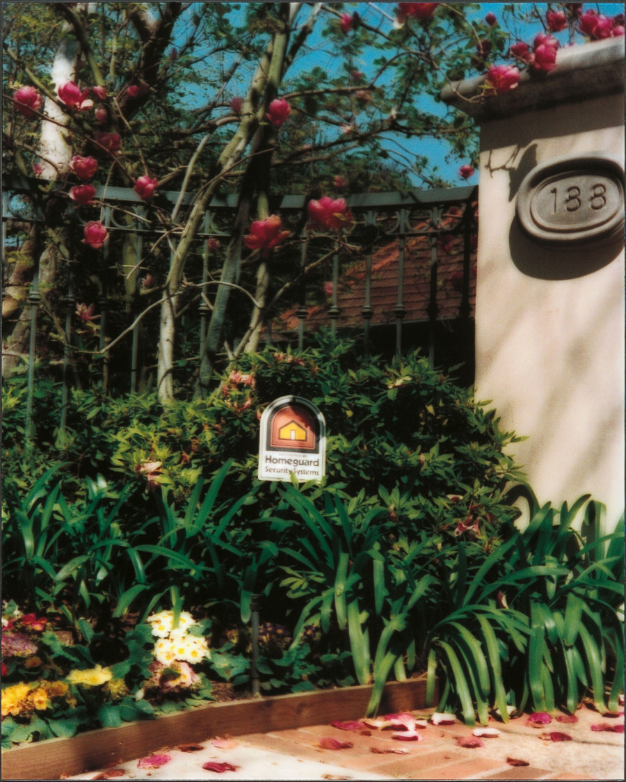 Philippe Durand - Still Life Armed Response