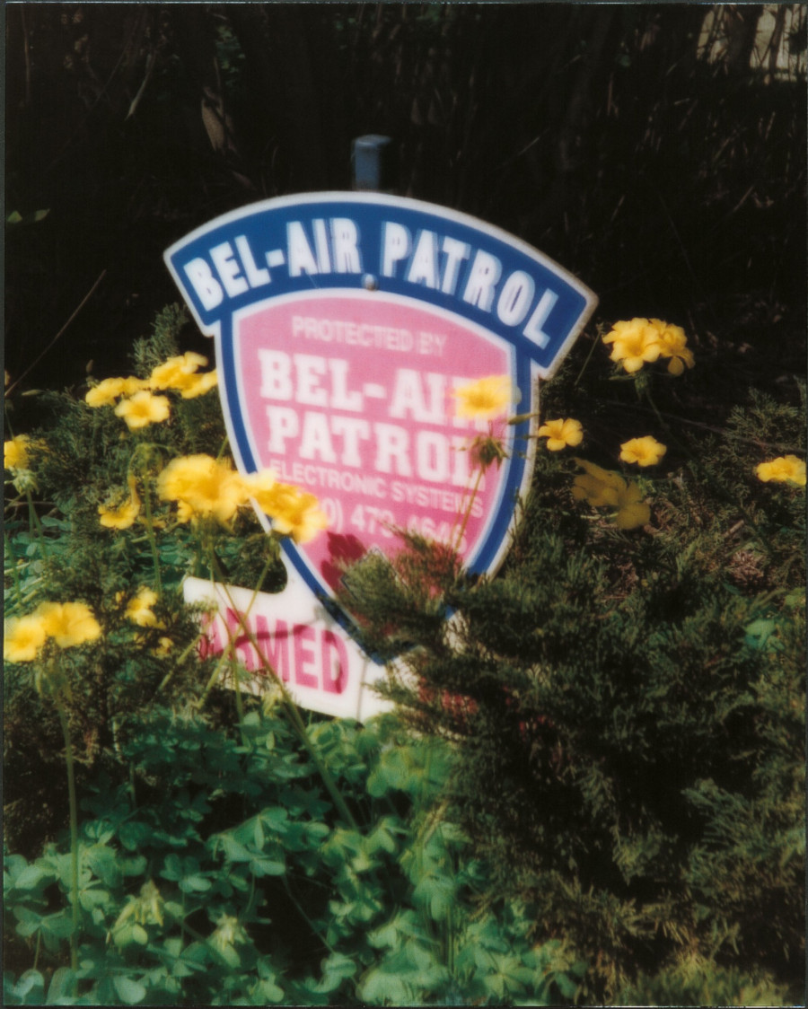 Philippe Durand - Still Life Armed Response