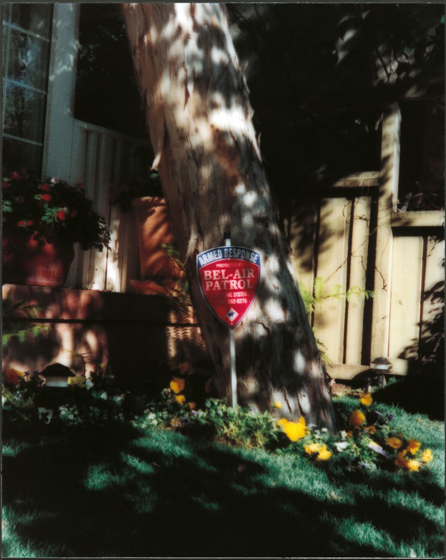 Philippe Durand - Still Life Armed Response