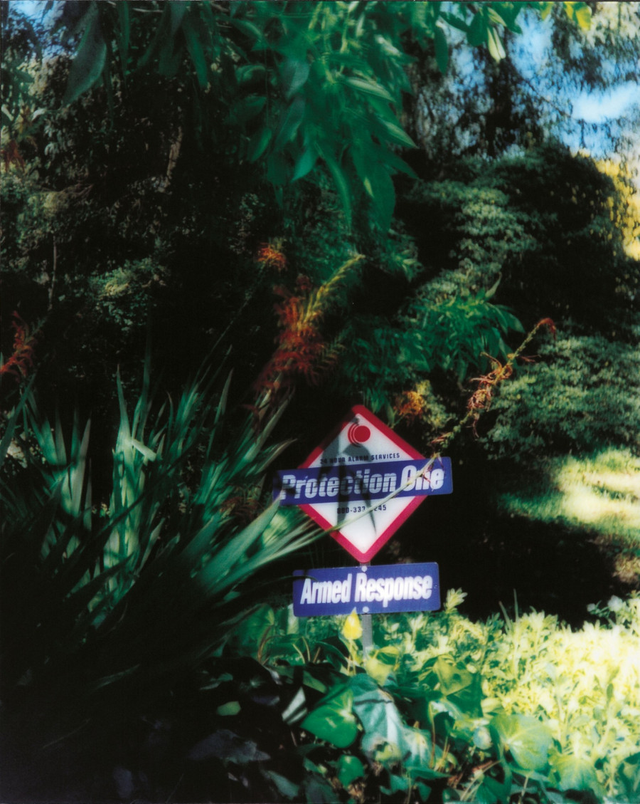 Philippe Durand - Still Life Armed Response