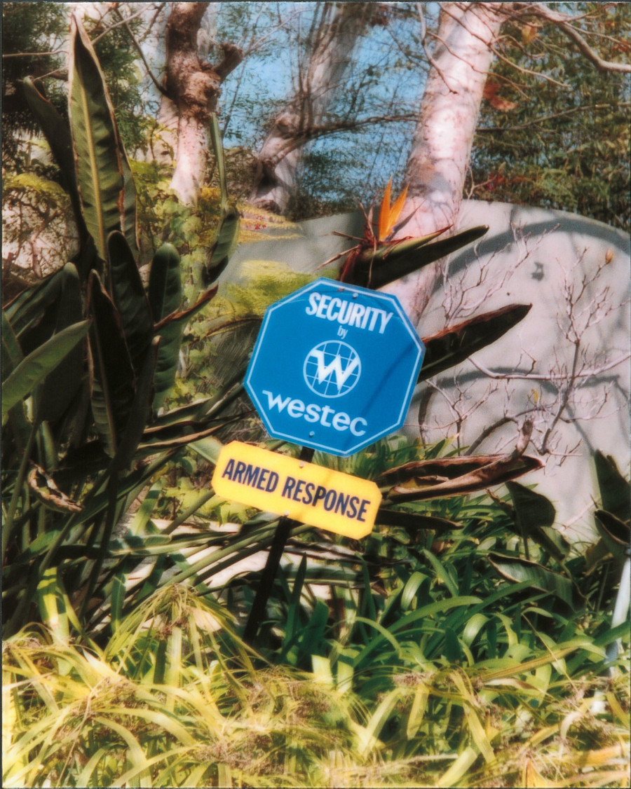 Philippe Durand - Still Life Armed Response