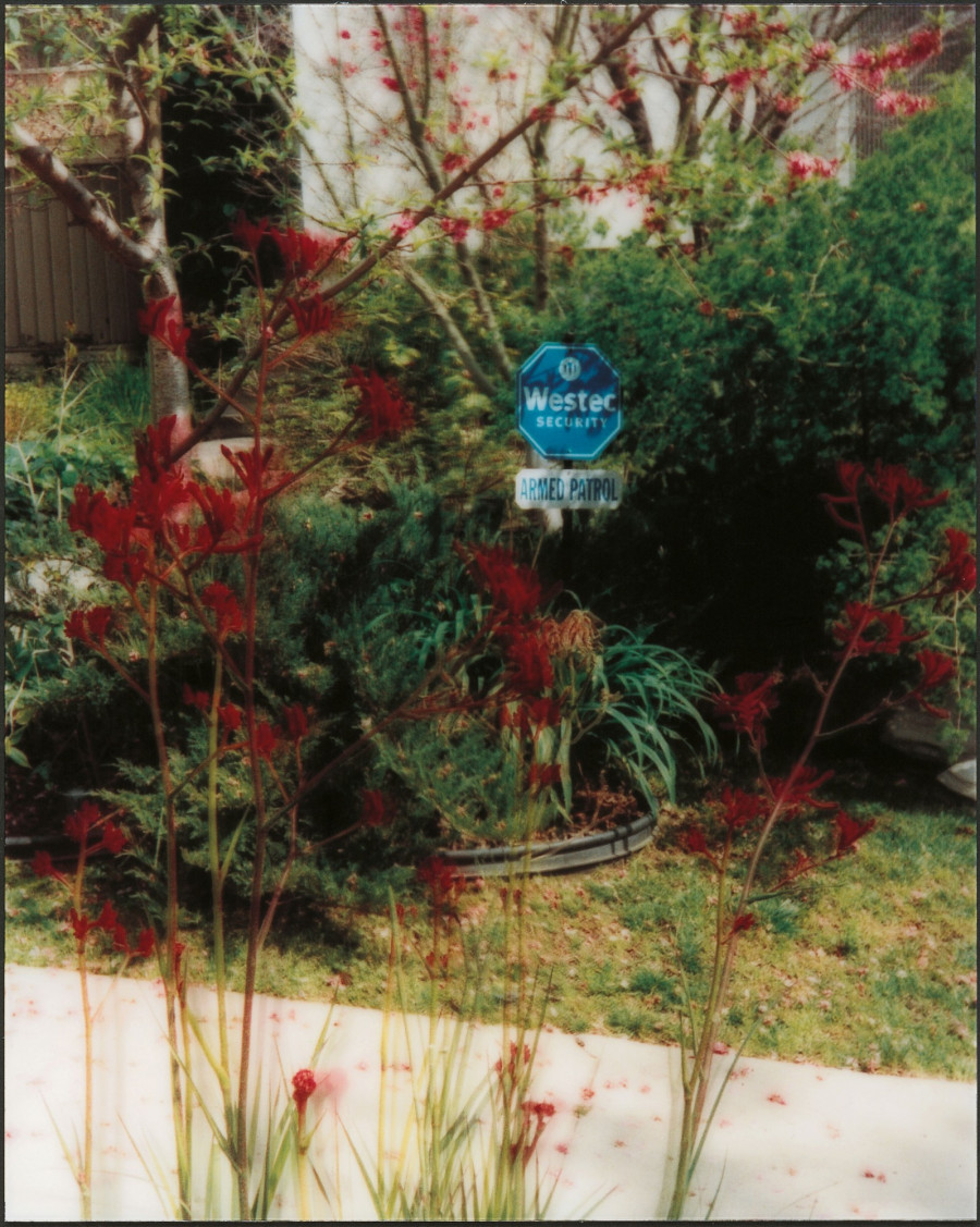 Philippe Durand - Still Life Armed Response