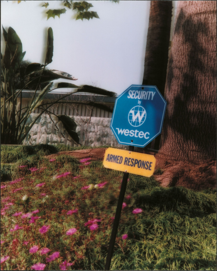 Philippe Durand - Still Life Armed Response