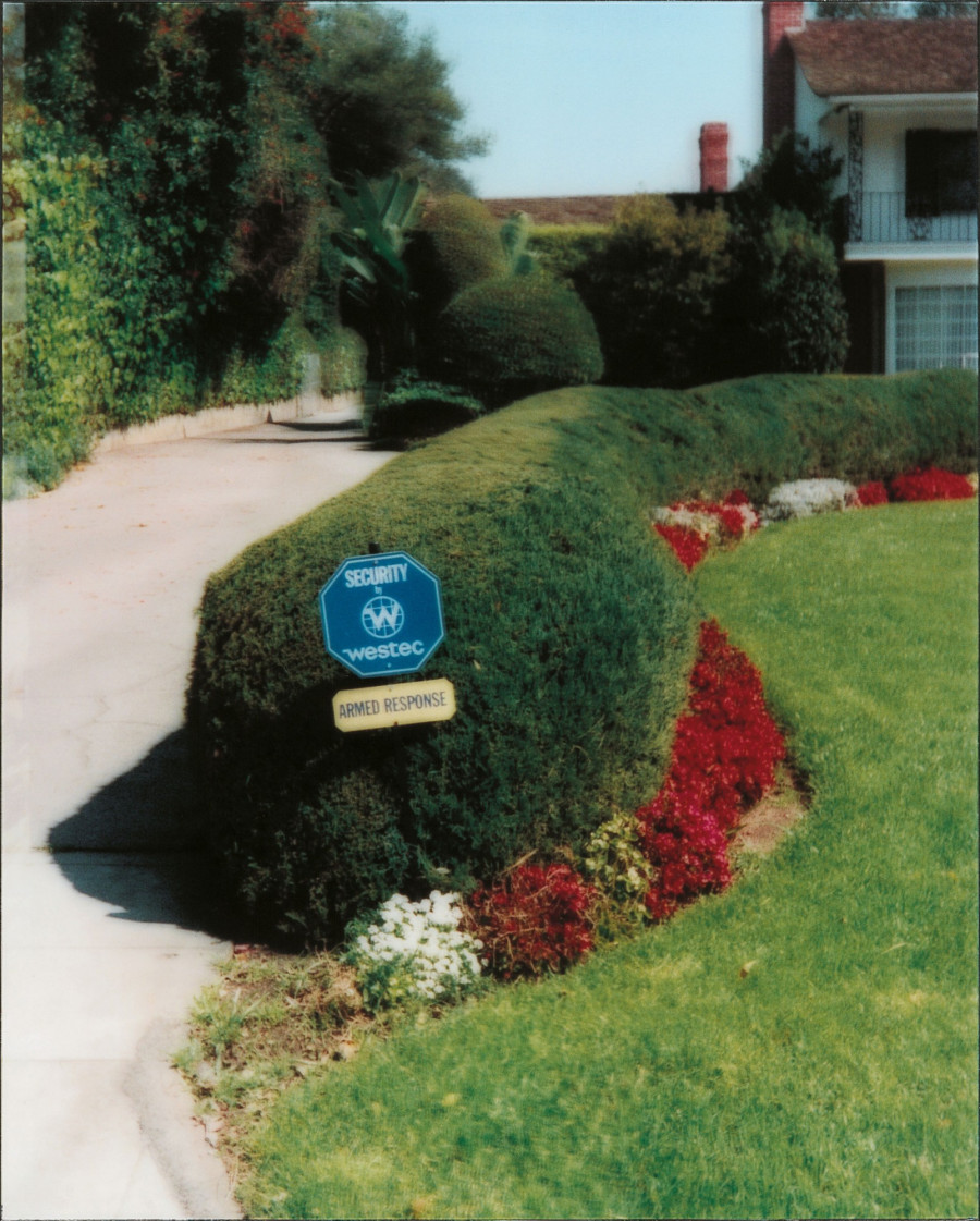 Philippe Durand - Still Life Armed Response